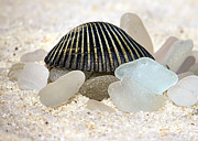Black and White Sea Glass Photograph by Janice Drew