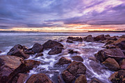 Blueberry Sea Photograph by Dan McGeorge