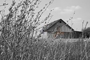 Blurry Past Photograph by Dylan Punke