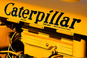 Caterpillar #1 Photograph by Olivier Le Queinec