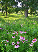 Chain-o-Lakes State Park #1 Photograph by Ray Mathis