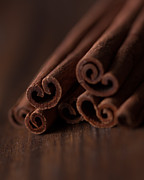 Cinnamon Love #1 Photograph by Ana V Ramirez