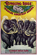 CIRCUS POSTER, c1899 #1 Photograph by Granger CIRCUS POSTER, c1899 #1 Photograph by Granger