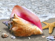 Conch Shell Beach #1 Painting by Stephen Jorgensen
