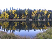 Potty Pond Reflection - Fall Colors Divide CO Photograph by Margarethe Binkley Potty Pond Reflection - Fall Colors Divide CO Photograph by Margarethe Binkley