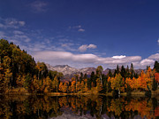 Fall #1 Photograph by Mark Smith