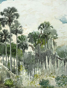 Florida Jungle #1 Drawing by Winslow Homer