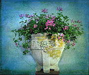 Garden Planter #2 Photograph by Jessica Jenney