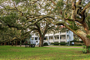 Greyfield Inn, Cumberland Island, Georgia Photograph by Dawna Moore Photography