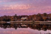 In The Pink #1 Photograph by Cathy Kovarik