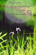 Inspirational Wild Iris Print #1 Photograph by Gwen Gibson
