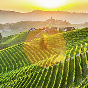 Langhe  #1 Photograph by Francesco Riccardo Iacomino