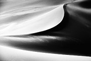 Less is more. #2 Photograph by Usha Peddamatham