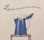 Comfort Zone Photograph by Kim Hojnacki