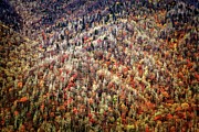 Like a Patchwork #1 Photograph by Alberto Audisio