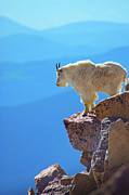 Living On The Edge #1 Photograph by John De Bord
