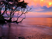 Maui Sunset #1 Photograph by Christopher Johnson