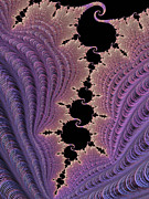 Milady's Corset Digital Art by Susan Maxwell Schmidt