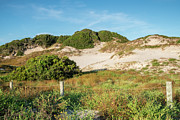NaNa Dunes, American Beach, Florida #1 Photograph by Dawna Moore Photography
