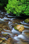 Oconaluftee River #1 Photograph by Bryan Bzdula