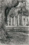 Old Sheldon Church Ruins #1 Photograph by Dawna Moore Photography