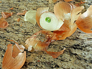 Onion Skins Photograph by Lynda Lehmann