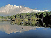 Pause and Reflect #1 Photograph by Suzy Piatt