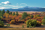 Pikes Peak Over Scrub Oak #1 Photograph by Dawn Key