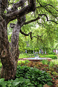 Prescott Park Flower Gardens Portsmouth New Hampshire #1 Photograph by Dawna Moore Photography