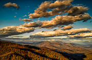 Reaching for the Light #1 Photograph by Joye Ardyn Durham