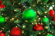 Red and Green Holiday #1 Photograph by Karen Musick