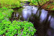 Runnin's River #1 Photograph by Bryan Bzdula