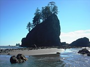Seastacks at Second Beach La Push #1 Photograph by Kelly Manning