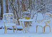 Snowy Sit a Spell #1 Photograph by PJQandFriends Photography