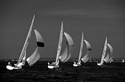 Spinnaker Run #1 Photograph by David Shuler