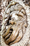 St. Simons Island Tree Spirit, Frederica Road, St. Simons Island #1 Photograph by Dawna Moore Photography