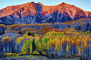 October Grace Photograph by John De Bord