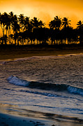 Sunset at the Beach #1 Photograph by Sebastian Musial