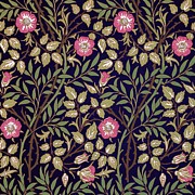 Sweet Briar #1 Painting by William Morris