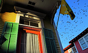 The Birds #1 Photograph by Skip Hunt