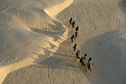 Tourists on camel ride in Sahara Desert  #1 Photograph by Sami Sarkis Photography