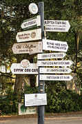 Which way to go? #1 Photograph by Dawna Moore Photography