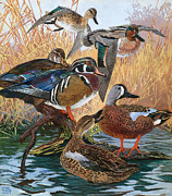 Wood Ducks #2 Painting by Lynn Bogue Hunt
