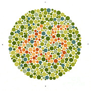 Ishihara Color Blindness Test #10 Photograph by Wellcome Images