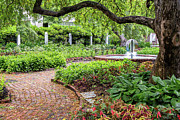 Prescott Park Flower Gardens, Portsmouth, New Hampshire #10 Photograph by Dawna Moore Photography
