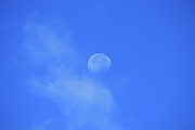 11- Blue Moon Photograph by Joseph Keane