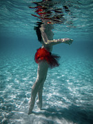 13 Photograph by Gemma Silvestre