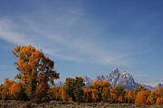 Grand Teton National Park #16 Photograph by Mark Smith