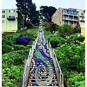 16th And Moraga Mosaic Stairs On This Photograph by Jennifer D