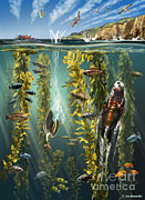 California Kelp Forest #2 Photograph by Jim Dowdalls California Kelp Forest #2 Photograph by Jim Dowdalls